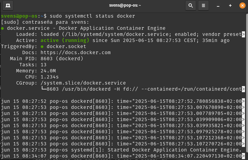 Terminal comprobar Docker 2
